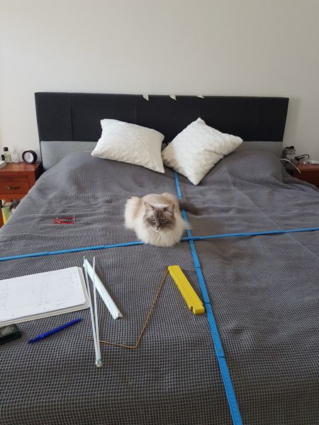 Katze auf Bett mit Wasseradern Image